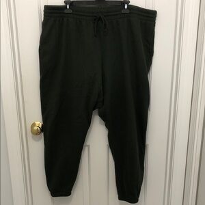 Terra & Sky Womens Plus Deep Green Joggers